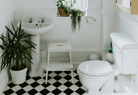 Dynamic Contact Image